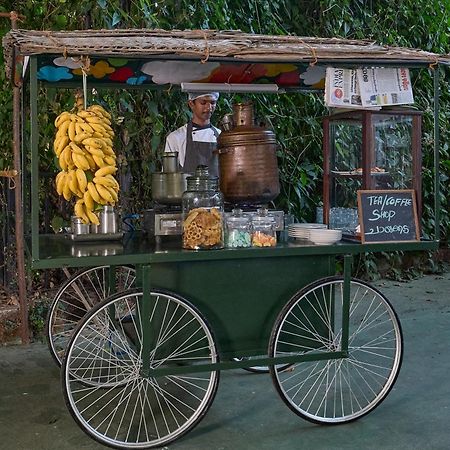 Hotel Cardamom County By Xandari Thekkady Esterno foto