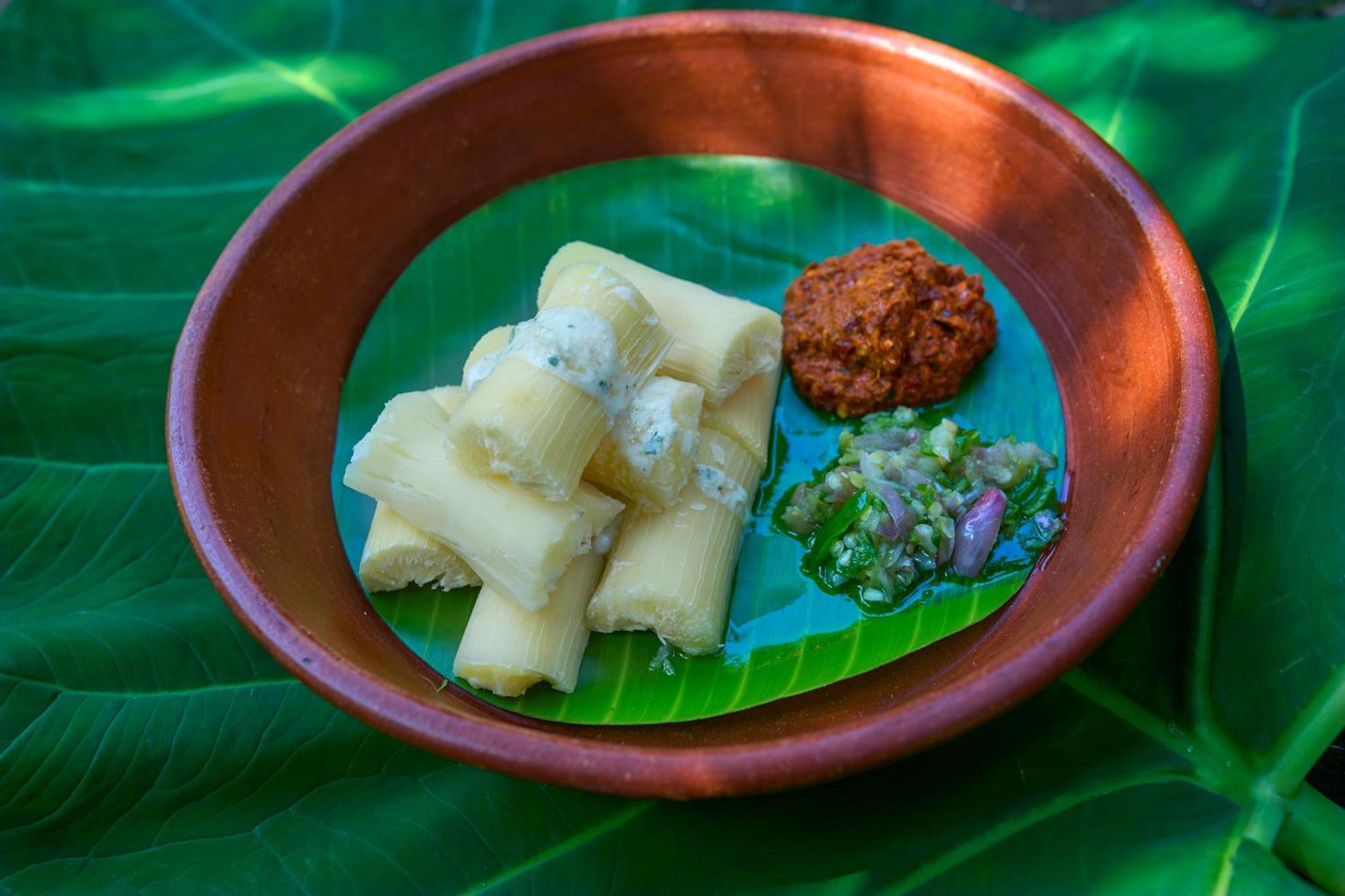 Hotel Cardamom County By Xandari Thekkady Esterno foto